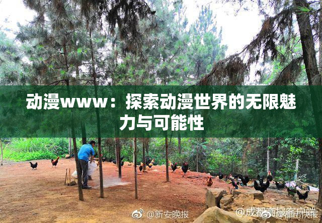 动漫www：探索动漫世界的无限魅力与可能性