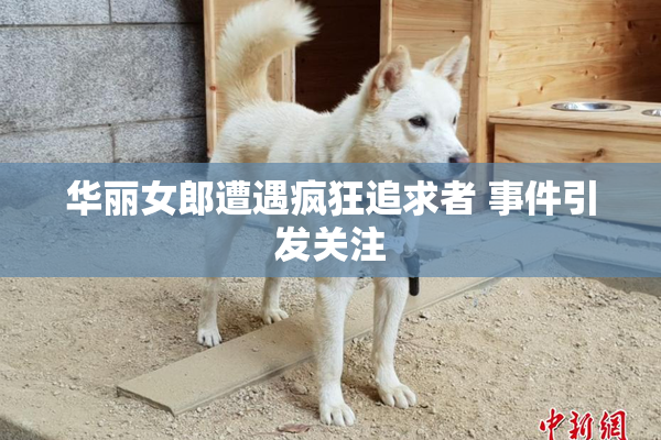 华丽女郎遭遇疯狂追求者 事件引发关注
