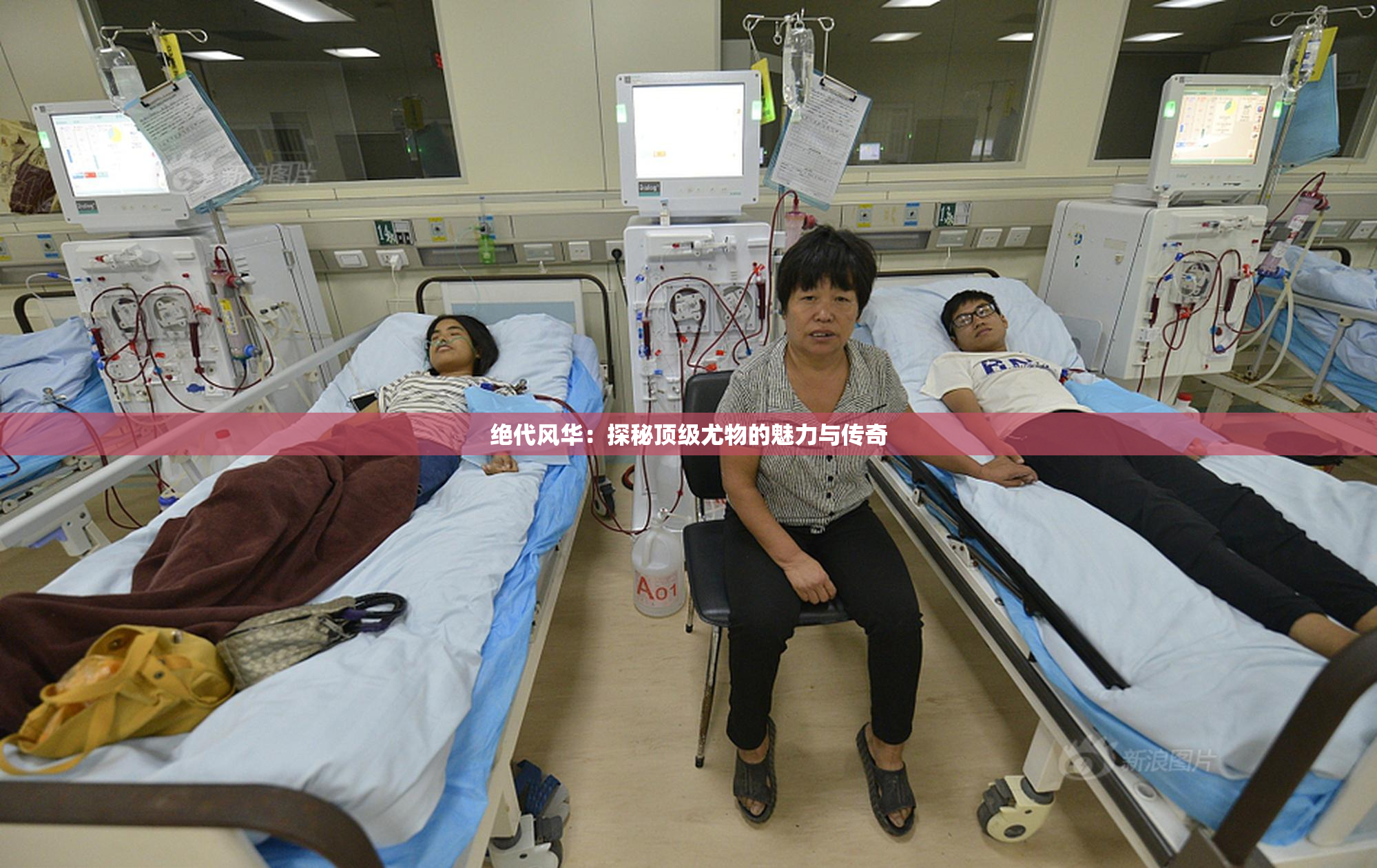 绝代风华：探秘顶级尤物的魅力与传奇