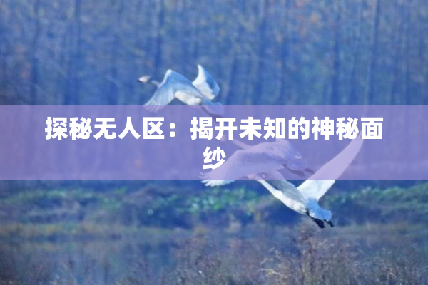 探秘无人区：揭开未知的神秘面纱