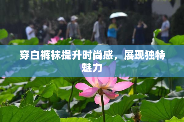 穿白裤袜提升时尚感，展现独特魅力