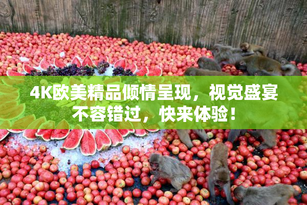 4K欧美精品倾情呈现，视觉盛宴不容错过，快来体验！
