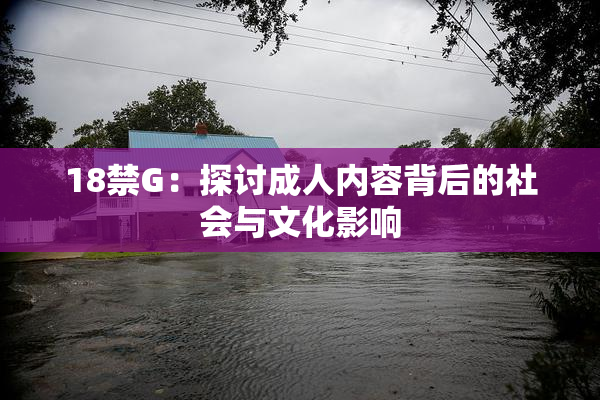 18禁G：探讨成人内容背后的社会与文化影响
