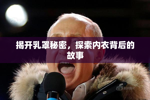 揭开乳罩秘密，探索内衣背后的故事