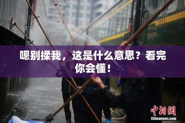 嗯别揉我，这是什么意思？看完你会懂！