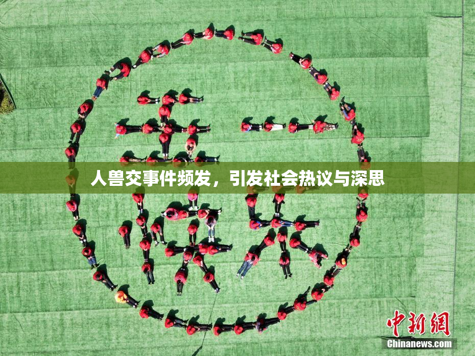 人兽交事件频发，引发社会热议与深思