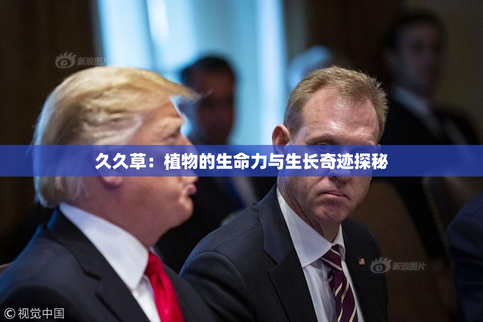 久久草：植物的生命力与生长奇迹探秘