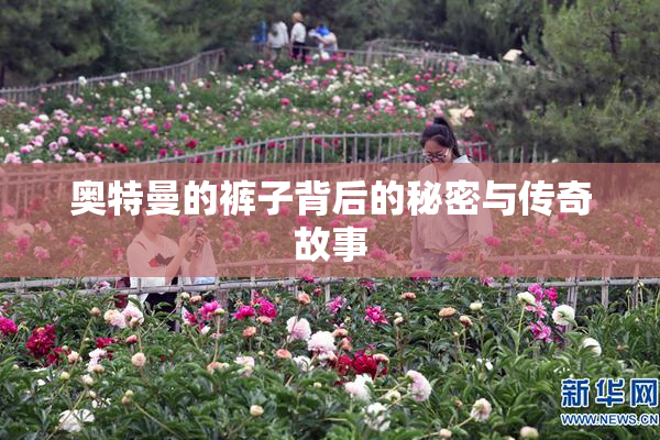 奥特曼的裤子背后的秘密与传奇故事