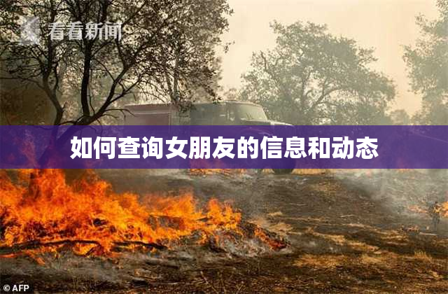 如何查询女朋友的信息和动态