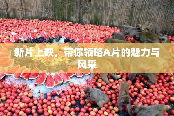 新片上映，带你领略A片的魅力与风采