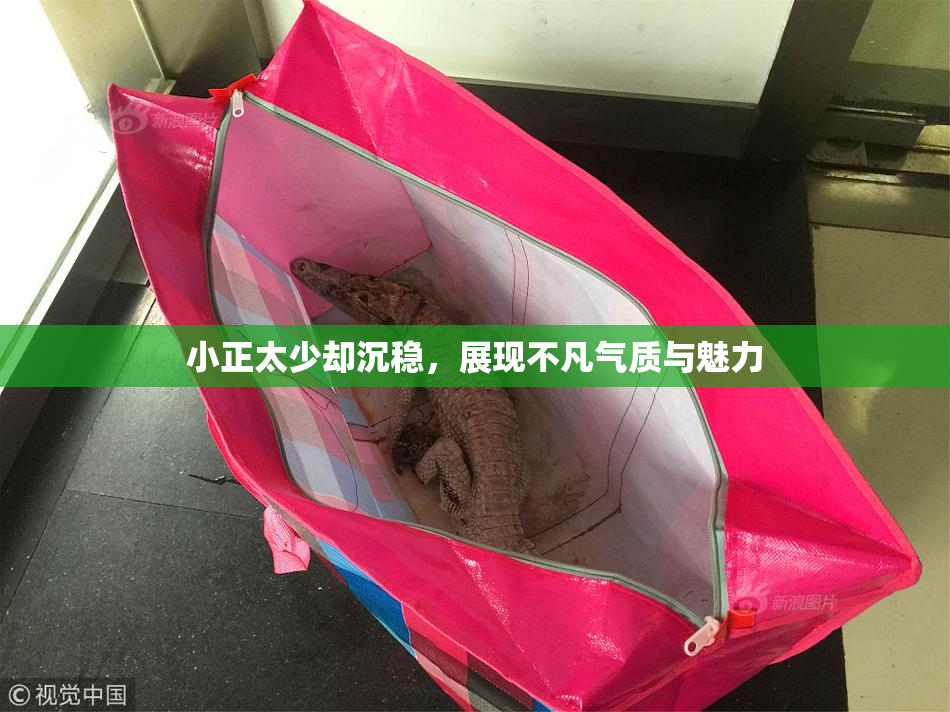 小正太少却沉稳，展现不凡气质与魅力