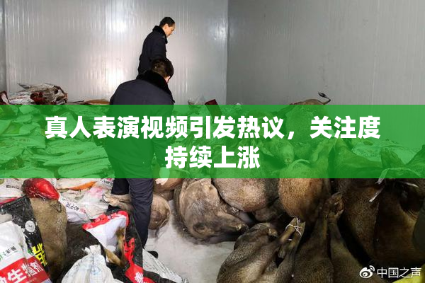 真人表演视频引发热议，关注度持续上涨