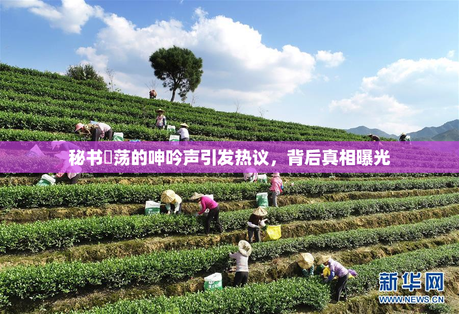 秘书婬荡的呻吟声引发热议，背后真相曝光