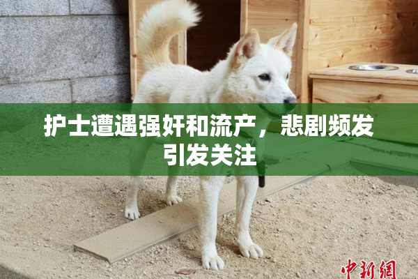 护士遭遇强奸和流产，悲剧频发引发关注