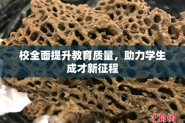 校全面提升教育质量，助力学生成才新征程