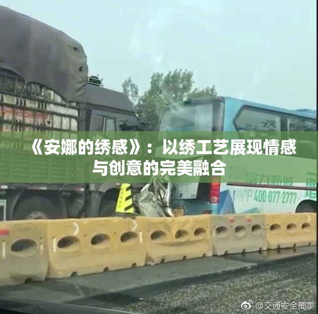 《安娜的绣感》：以绣工艺展现情感与创意的完美融合