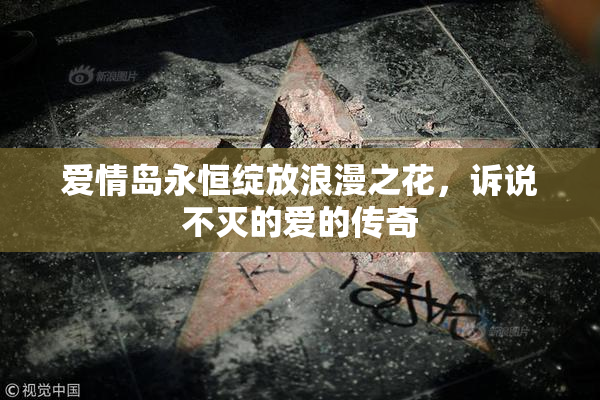 爱情岛永恒绽放浪漫之花，诉说不灭的爱的传奇