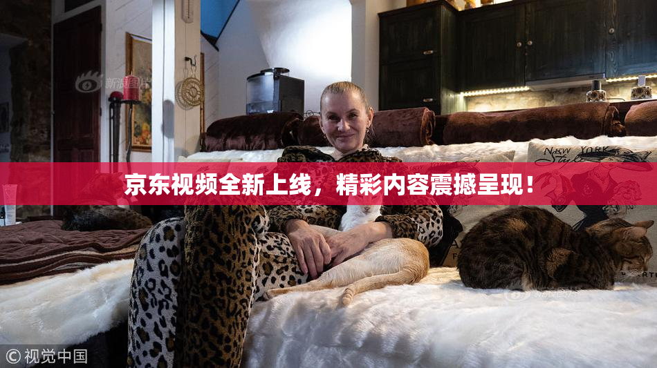 京东视频全新上线，精彩内容震撼呈现！