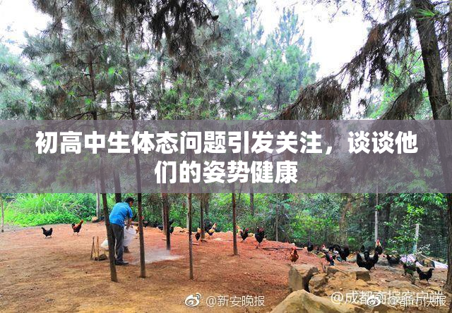初高中生体态问题引发关注，谈谈他们的姿势健康
