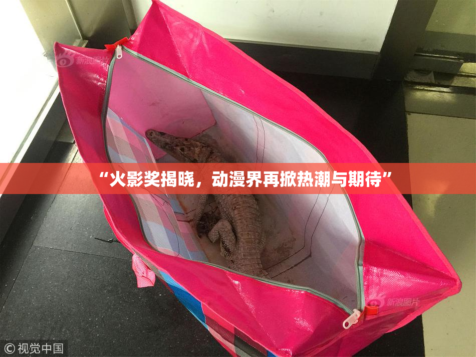 “火影奖揭晓，动漫界再掀热潮与期待”