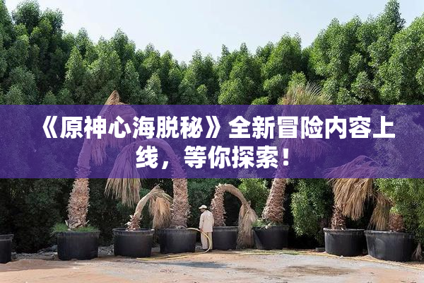 《原神心海脱秘》全新冒险内容上线，等你探索！