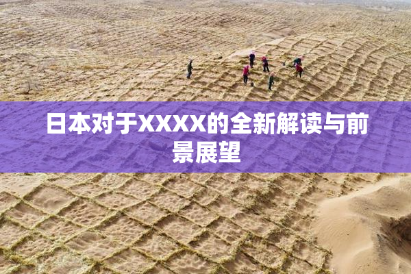 日本对于XXXX的全新解读与前景展望