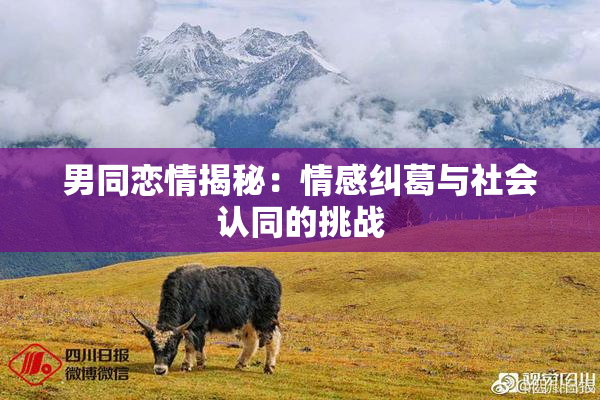 男同恋情揭秘：情感纠葛与社会认同的挑战