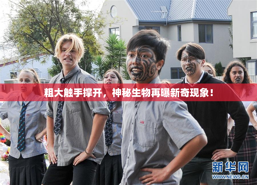 粗大触手撑开，神秘生物再曝新奇现象！