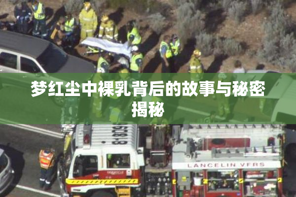 梦红尘中裸乳背后的故事与秘密揭秘