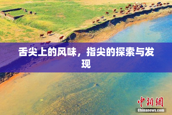 舌尖上的风味，指尖的探索与发现