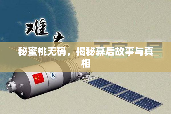 秘蜜桃无码，揭秘幕后故事与真相