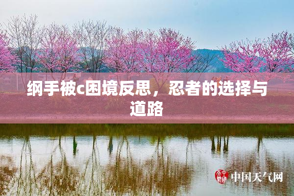 纲手被c困境反思，忍者的选择与道路