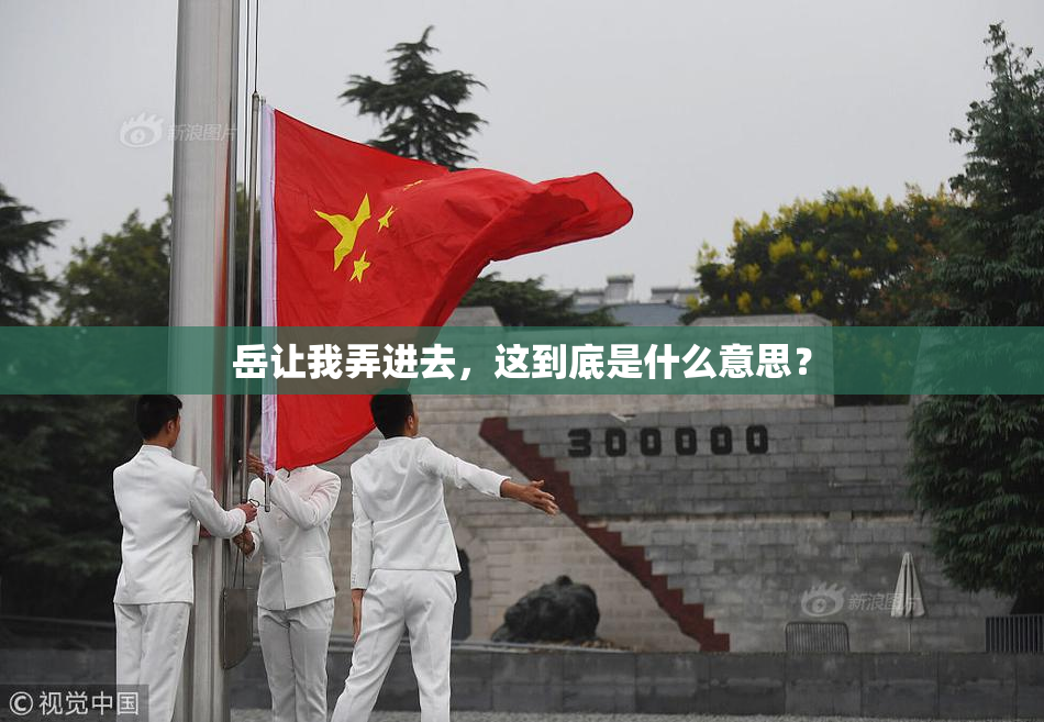 岳让我弄进去，这到底是什么意思？