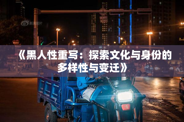 《黑人性重写：探索文化与身份的多样性与变迁》