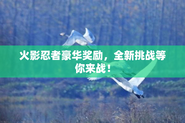 火影忍者豪华奖励，全新挑战等你来战！