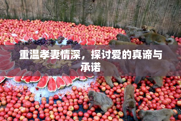 重温孝妻情深，探讨爱的真谛与承诺