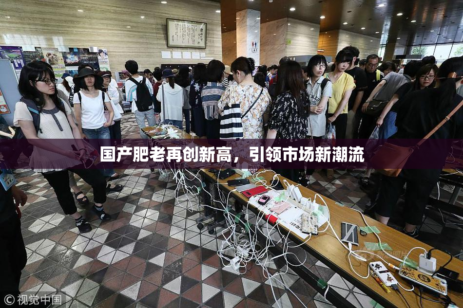 国产肥老再创新高，引领市场新潮流