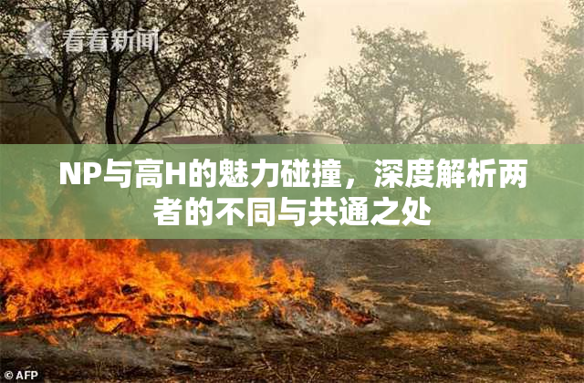 NP与高H的魅力碰撞，深度解析两者的不同与共通之处