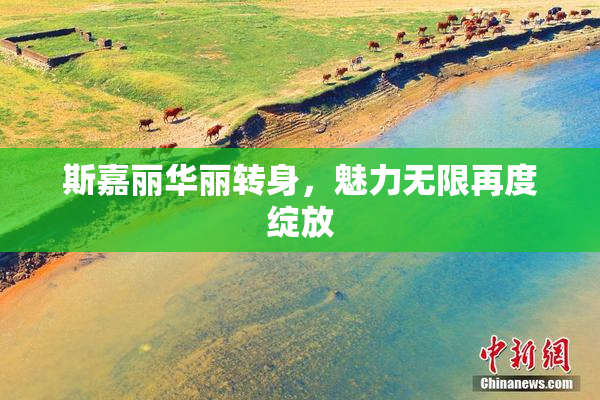 斯嘉丽华丽转身，魅力无限再度绽放