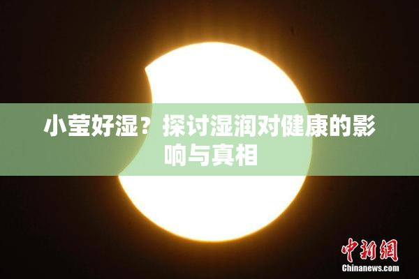 小莹好湿？探讨湿润对健康的影响与真相