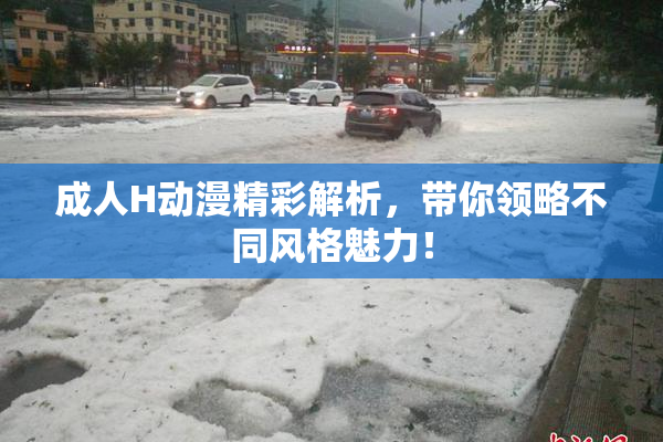 成人H动漫精彩解析，带你领略不同风格魅力！