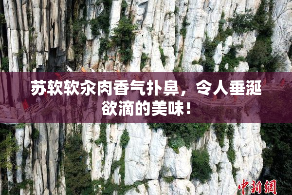 苏软软汆肉香气扑鼻，令人垂涎欲滴的美味！