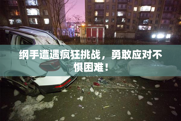 纲手遭遇疯狂挑战，勇敢应对不惧困难！