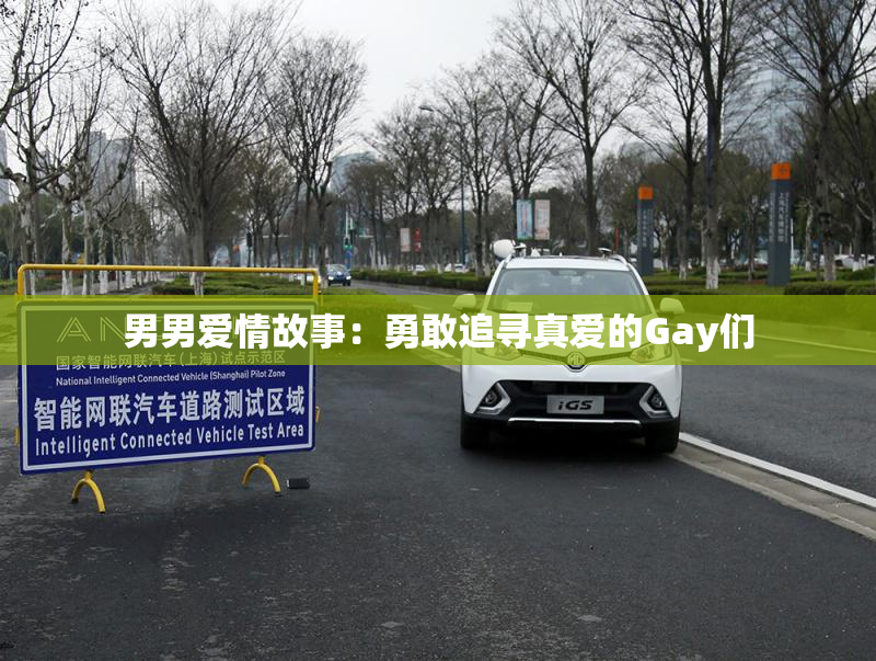 男男爱情故事：勇敢追寻真爱的Gay们