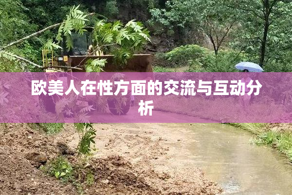 欧美人在性方面的交流与互动分析