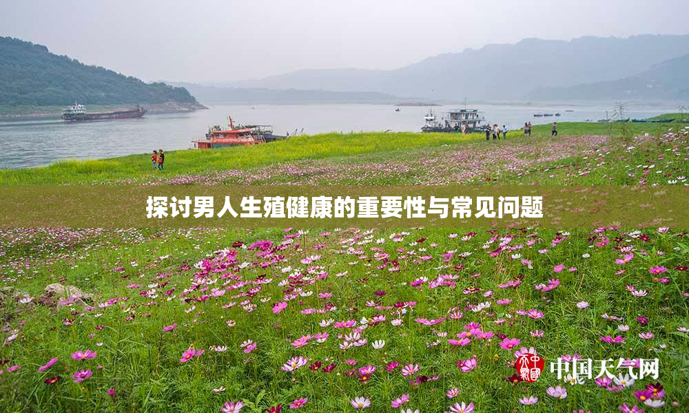 探讨男人生殖健康的重要性与常见问题