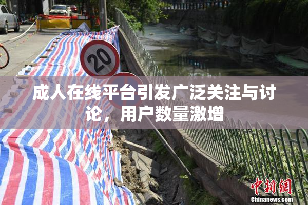 成人在线平台引发广泛关注与讨论，用户数量激增