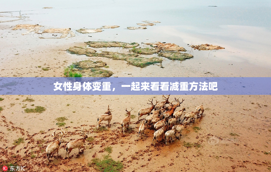 女性身体变重，一起来看看减重方法吧