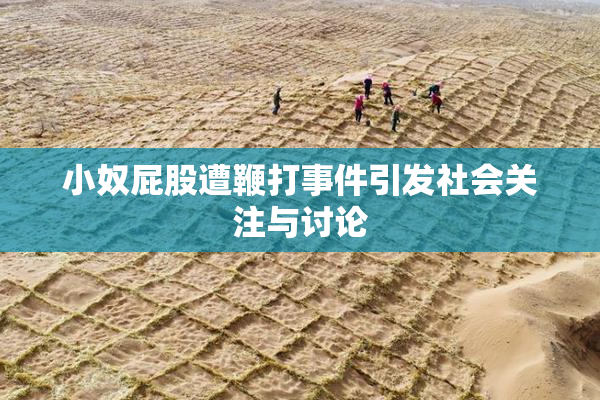 小奴屁股遭鞭打事件引发社会关注与讨论