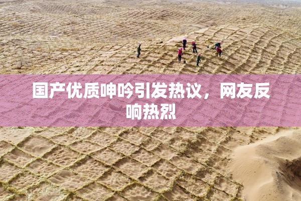 国产优质呻吟引发热议，网友反响热烈